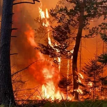 Nejhorší požár za posledních sto let, řekl o ohni pracovník Správy NP České Švýcarsko Václav Sojka.