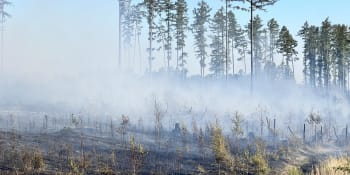 Hoří další velký les. Hasiči zasahují ve vojenském prostoru Libavá, pomáhá i armáda