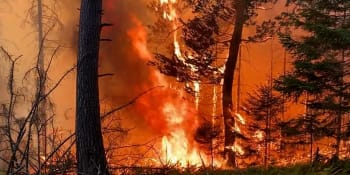 Požár v Českém Švýcarsku: V Mezné je situace kritická. Hrozí, že vyhoří, říká místostarosta