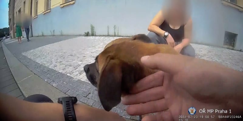 Strážníci vysvobodili psa z rozpáleného auta