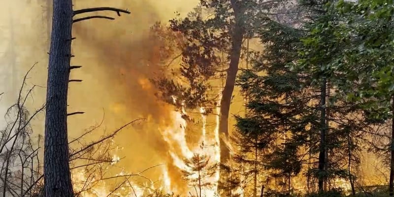 Požár podle mluvčího hasičů Lukáše Marvana hrubým odhadem probíhá na území 30 hektarů.