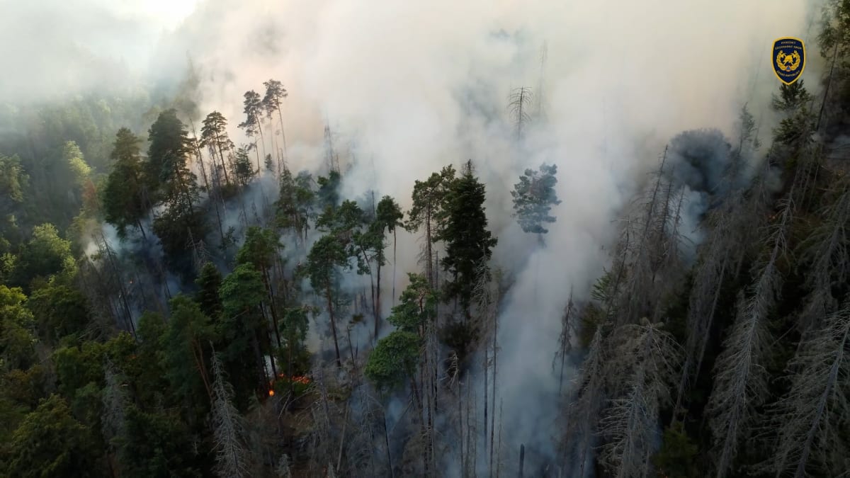 Hasiči zveřejnili záběry svých bojů s požárem v NP České Švýcarsko.