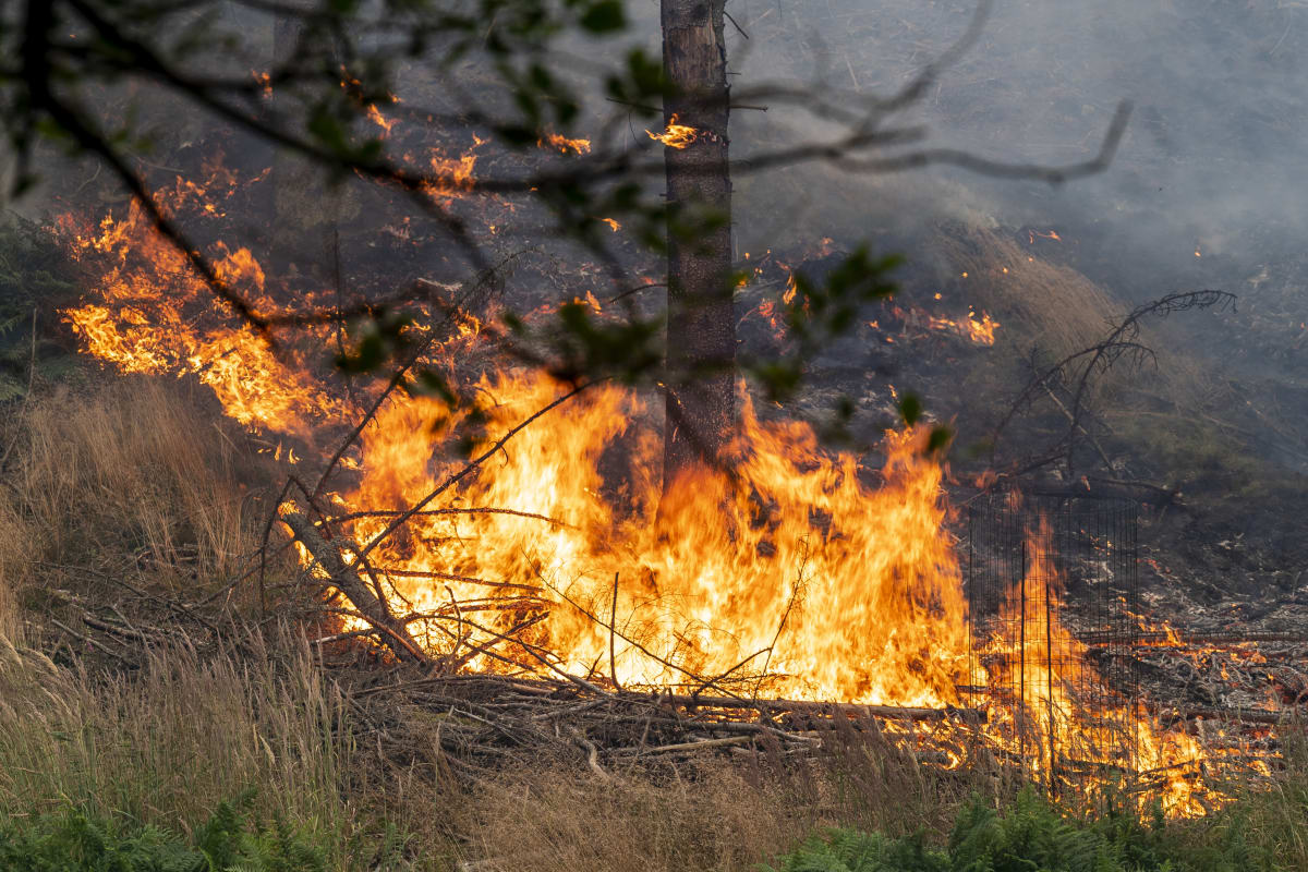 Hasiči už několik dní bojují s požárem v Českém Švýcarsku.