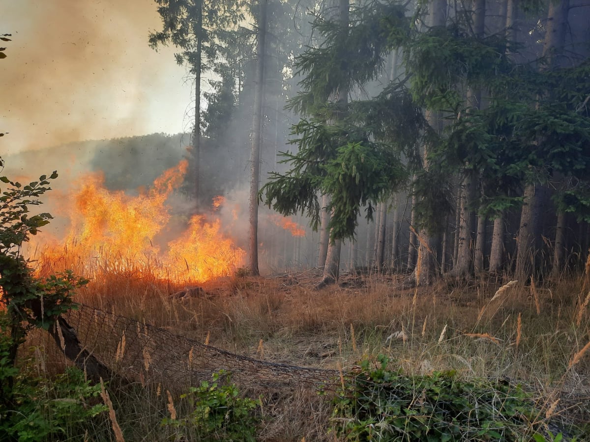 Na Zlínsku hoří od pondělního večera les.