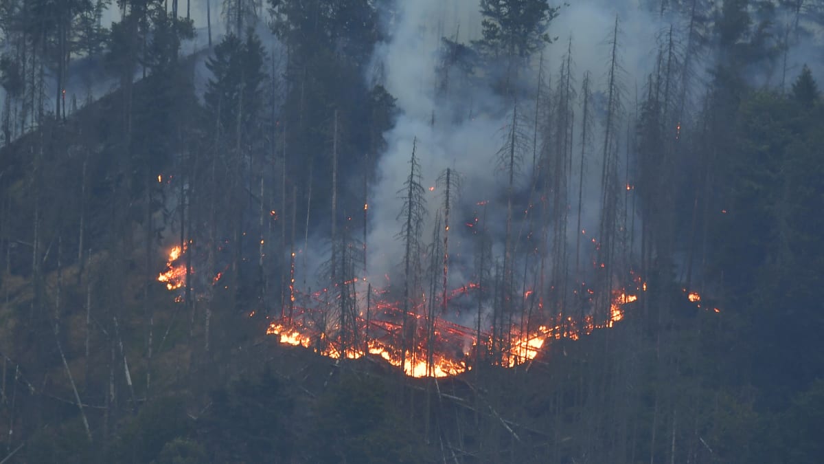 Požár v Národním parku České Švýcarsko zasáhl stovky hektarů lesa.