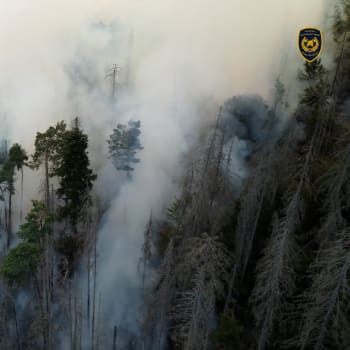 Nic většího než požár v Národním parku České Švýcarsko jsem neviděl, popsal pilot armádního vrtulníku, který pomáhá s hašením ohně.