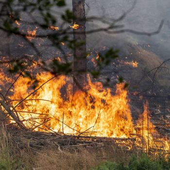 Požár v Národním parku České Švýcarsko šetří policie pro podezření z obecného ohrožení z nedbalosti.