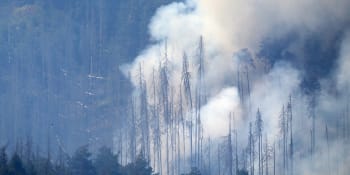 Dosud největší požár v ČR vypukl před 10 lety. Ohnivé peklo u Hřenska ho rychle překonalo