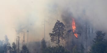 Lesních požárů bude přibývat, upozorňuje botanik. Nastínil, kde v Česku hrozí nejčastěji