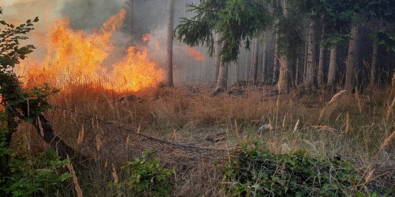 Na Zlínsku hoří od pondělního večera les.