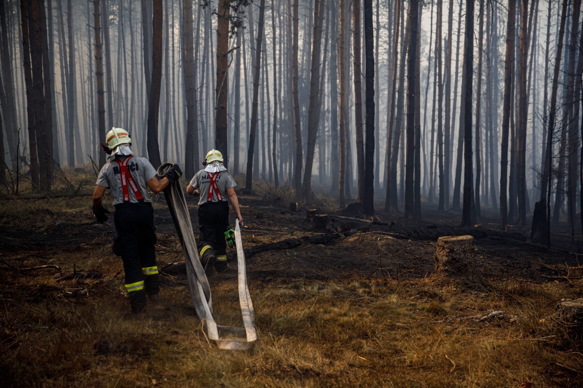 V Českém Švýcarsku zasahuje několik set hasičů.