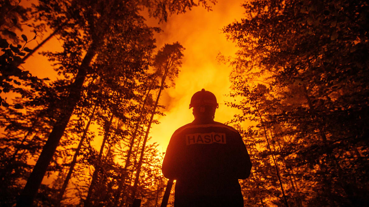 Požár v Českém Švýcarsku se rozšířil až na tisíc hektarů lesní plochy.