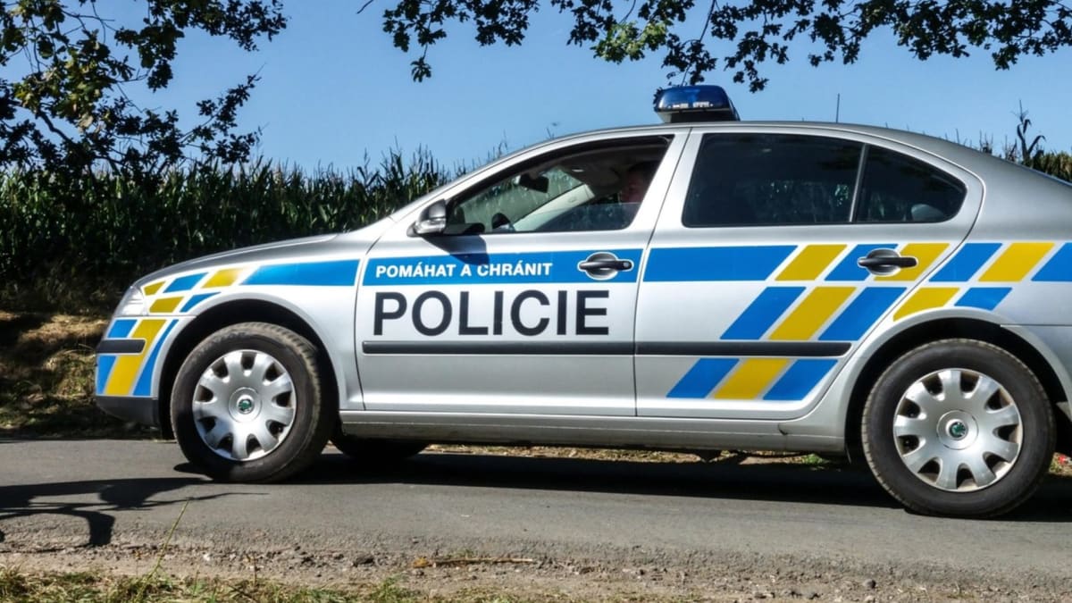 Policie hledá svědky tragické nehody, která se stala v Ostravě. (Ilustrační foto)