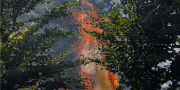 Postihy za založení požáru v lese jsou směšné, říkají experti. Žádají exemplární tresty