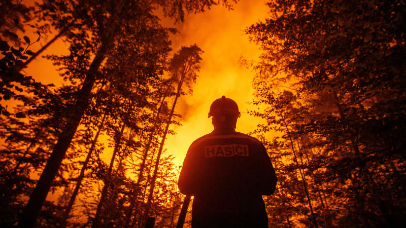 Váš houbařský průkaz, prosím. Zpřísní požáry v Českém Švýcarsku pravidla pro pohyb v lese?