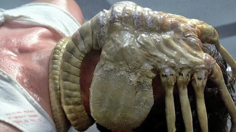 Nově objevený tvor vypadá jako parazit z Vetřelce. Našli ho na Antarktidě