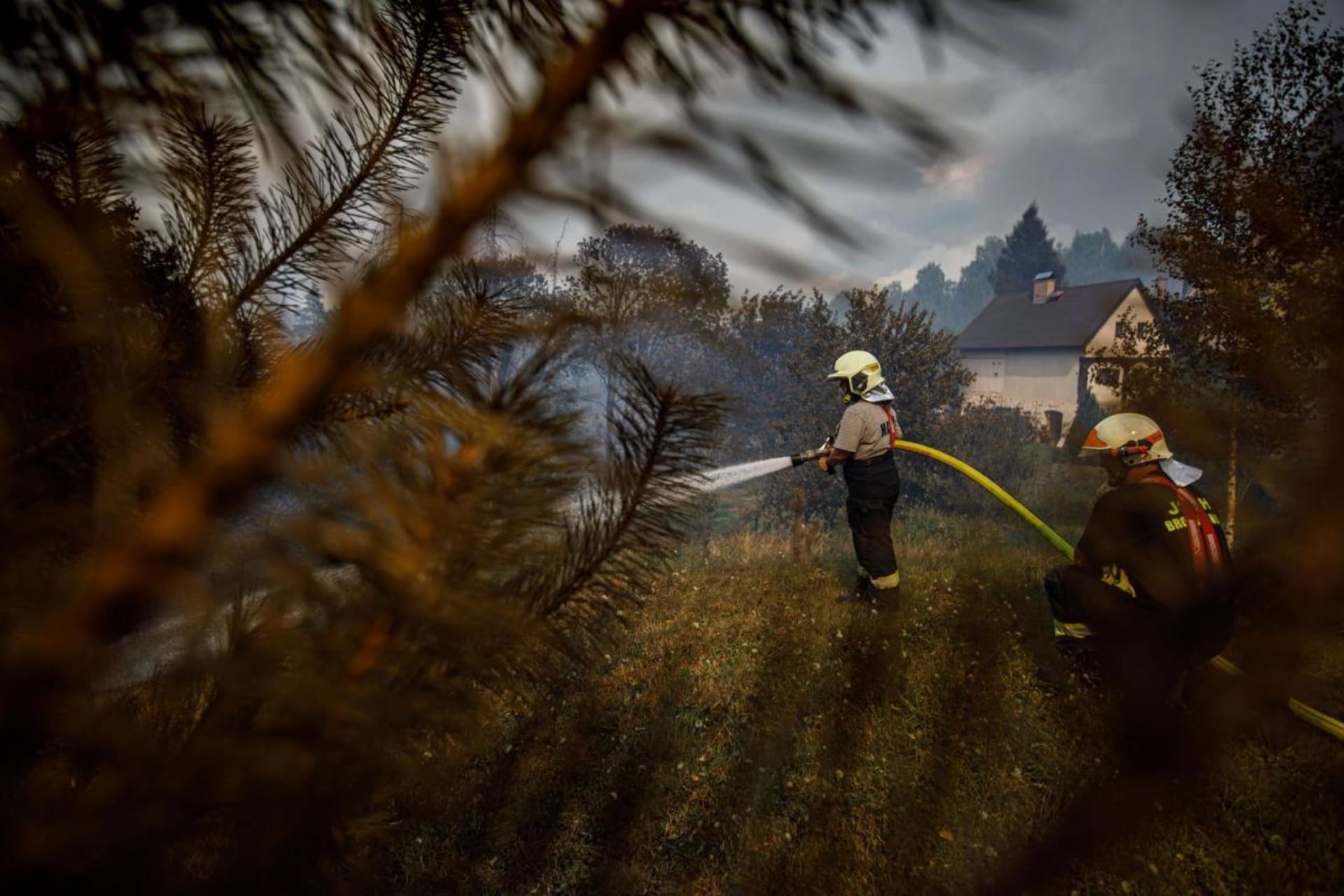 Ničivý požár zasáhl v červenci 2022 Národní park České Švýcarsko.