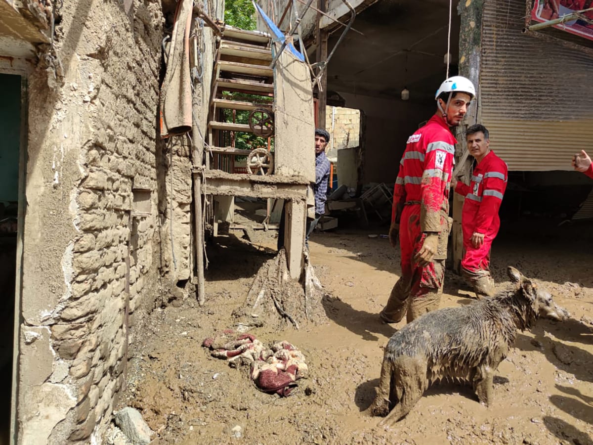Lijáky a záplavy si v Íránu vyžádaly v posledních dnech životy nejméně 53 lidí.