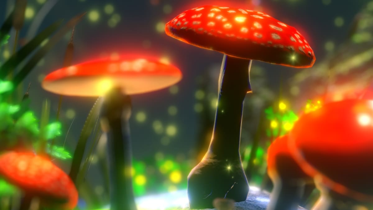 Za co všechno vděčíme houbám?