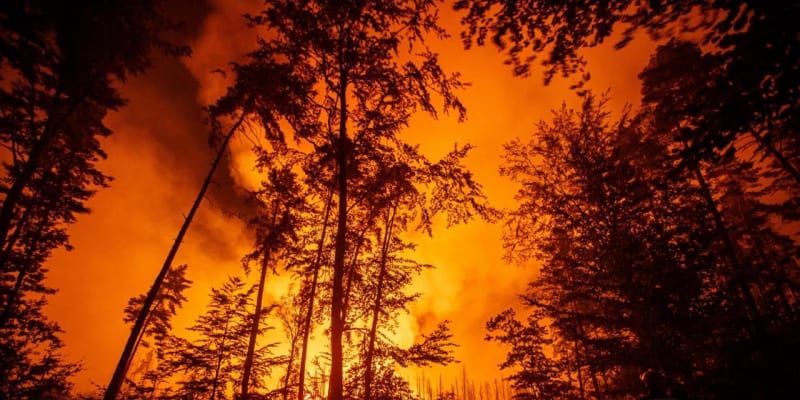 Ničivý požár loni zasáhl i Národní park České Švýcarsko