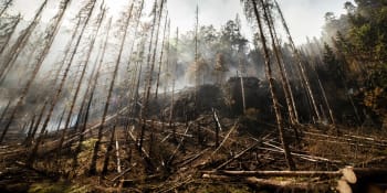 Hasiči místy přešli do požárního útoku. Stále ale hoří 1000 hektarů lesa
