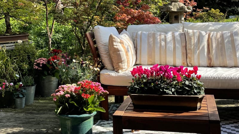 Moderní květiny pro váš balkon a terasu: Pěstovat můžete i kalanchoe nebo bramboříky