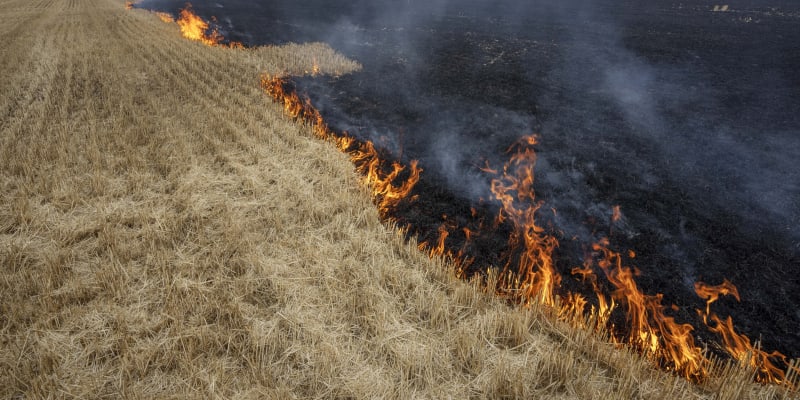 Hořící pole obilí v Doněcké oblasti