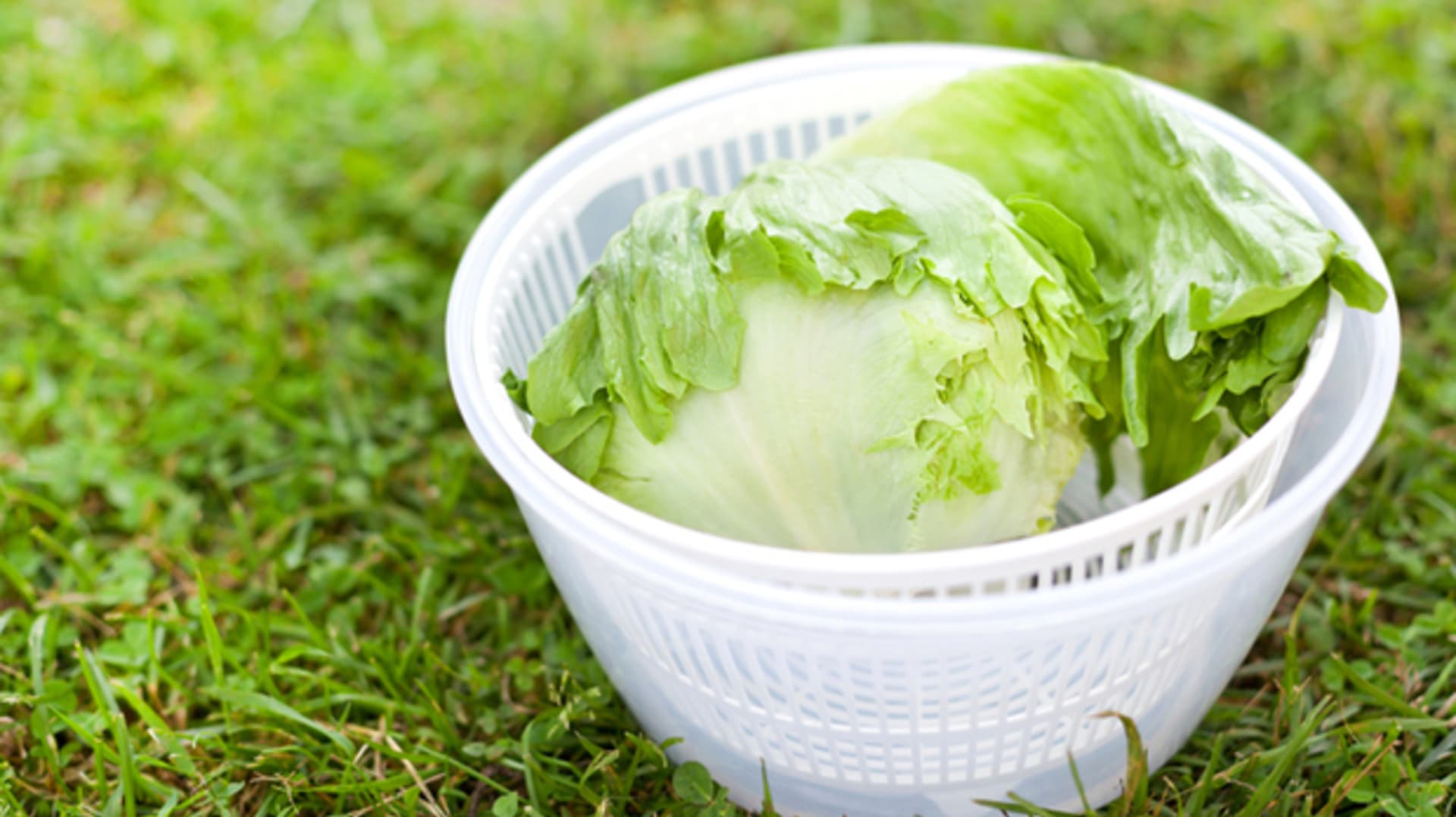 7 způsobů, jak využít odstředivku na salát