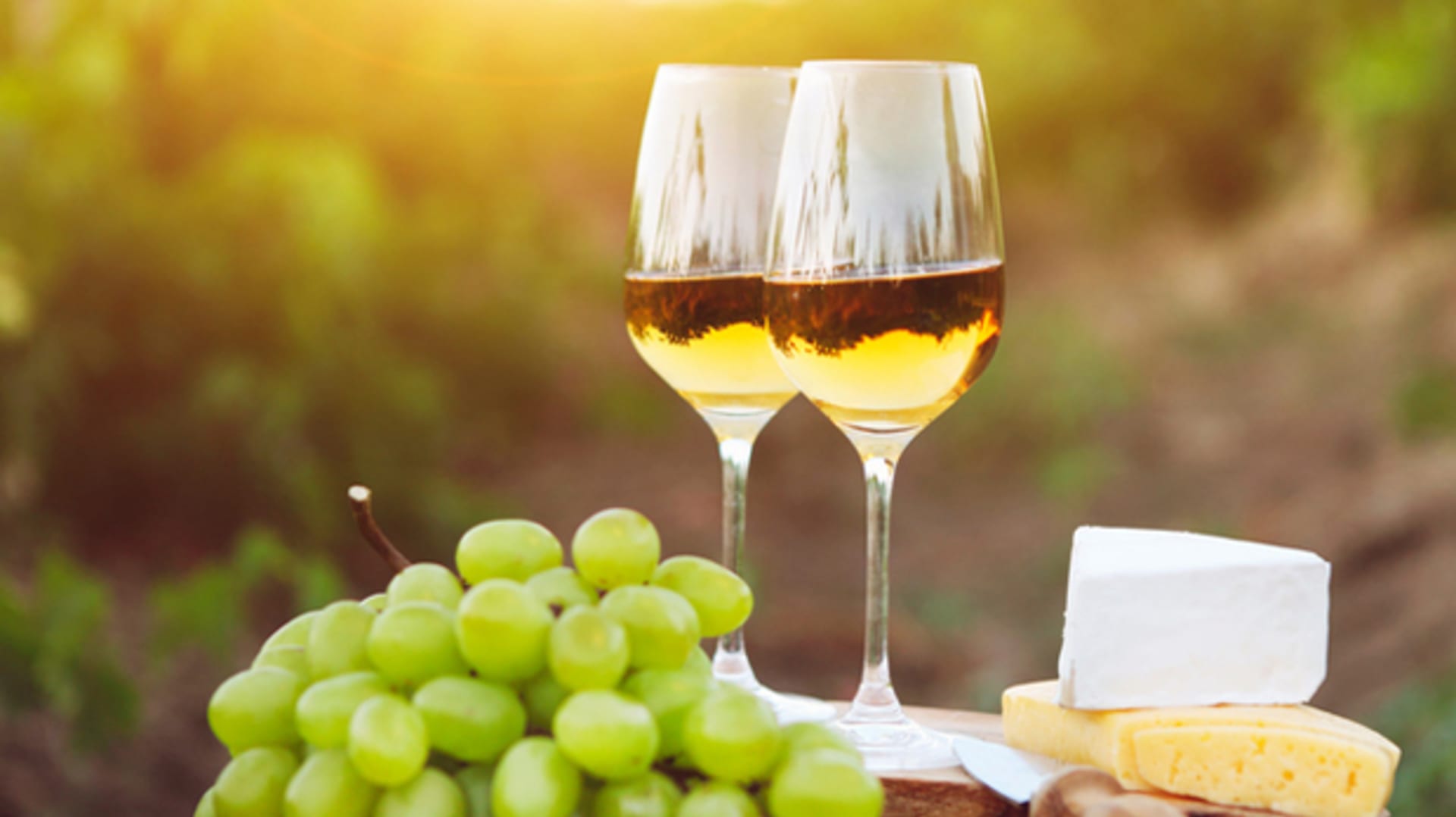Víno do mrazáku nepatří ani v létě aneb Jak zajistit správnou teplotu vína