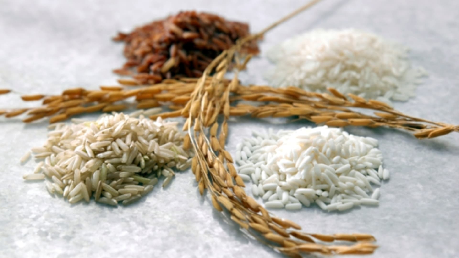 Různé druhy rýže