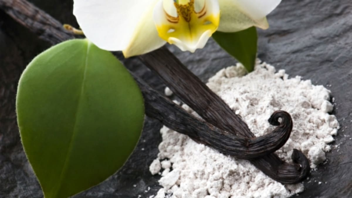 Vanilka - drahá chuť orchidejí 1