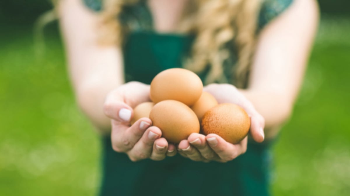 Co možná nevíte o vejcích…