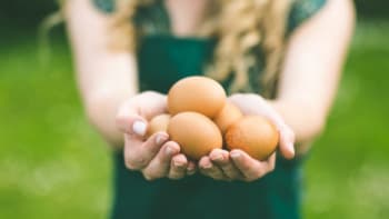 Co možná nevíte o vejcích…