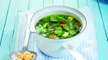 Zeleninová polévka s divokým pestem