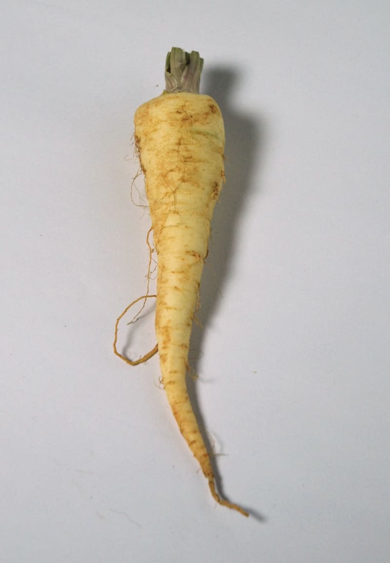 Kořenová zelenina (Primární fotografie)