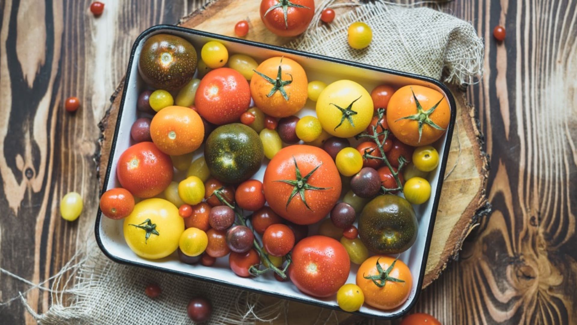 Šťavnatá a voňavá rajčata: Čechy milovaná zelenina