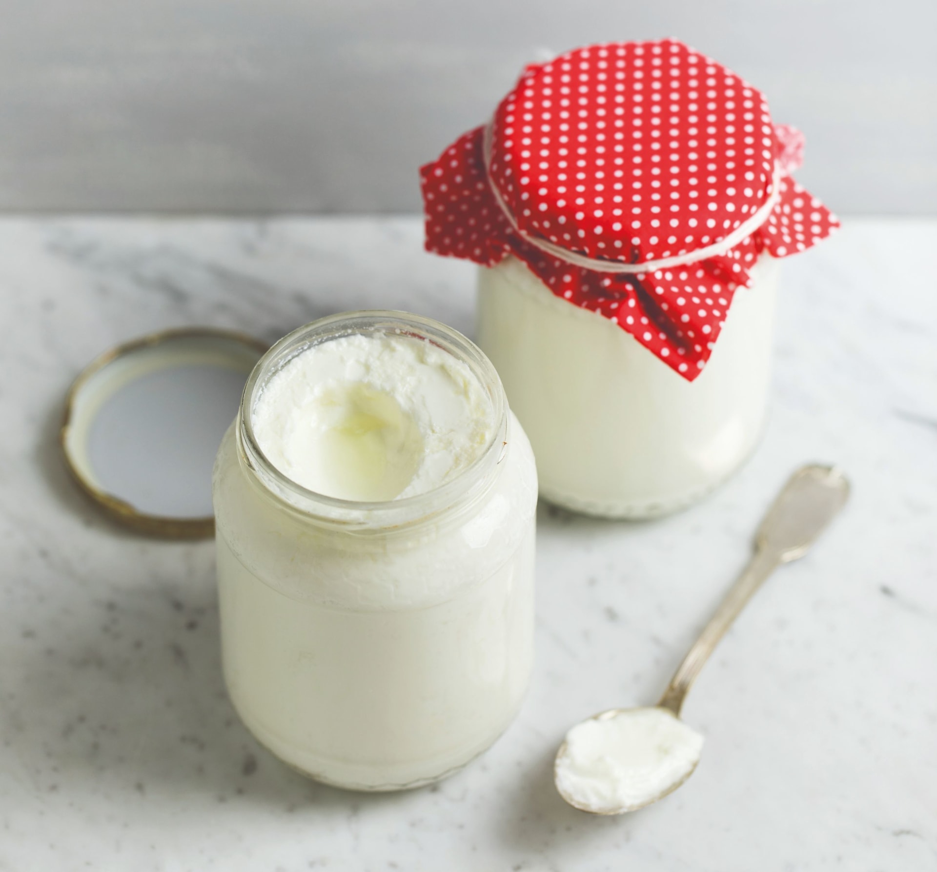Domácí plnotučný bílý jogurt 2