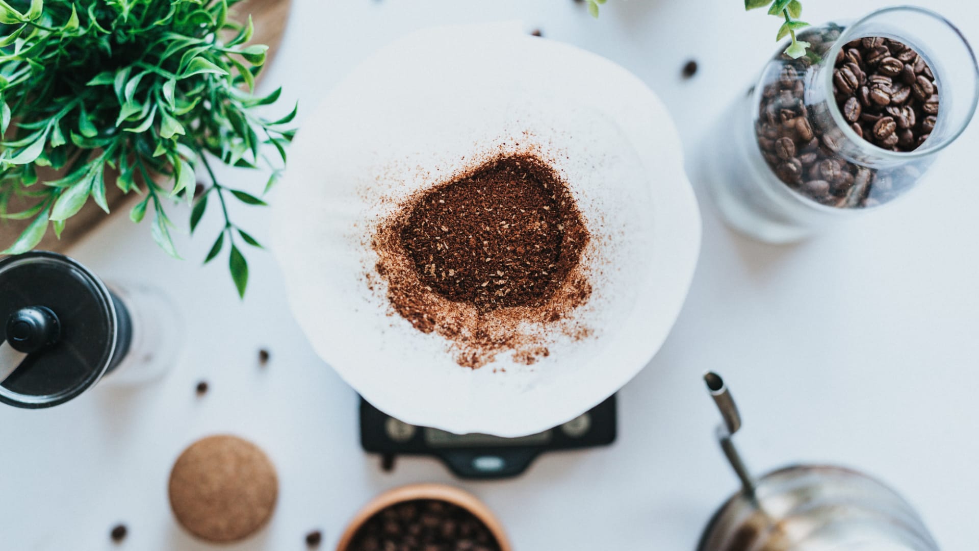 4 praktické tipy, jak co nejvíc využít kávovou sedlinu