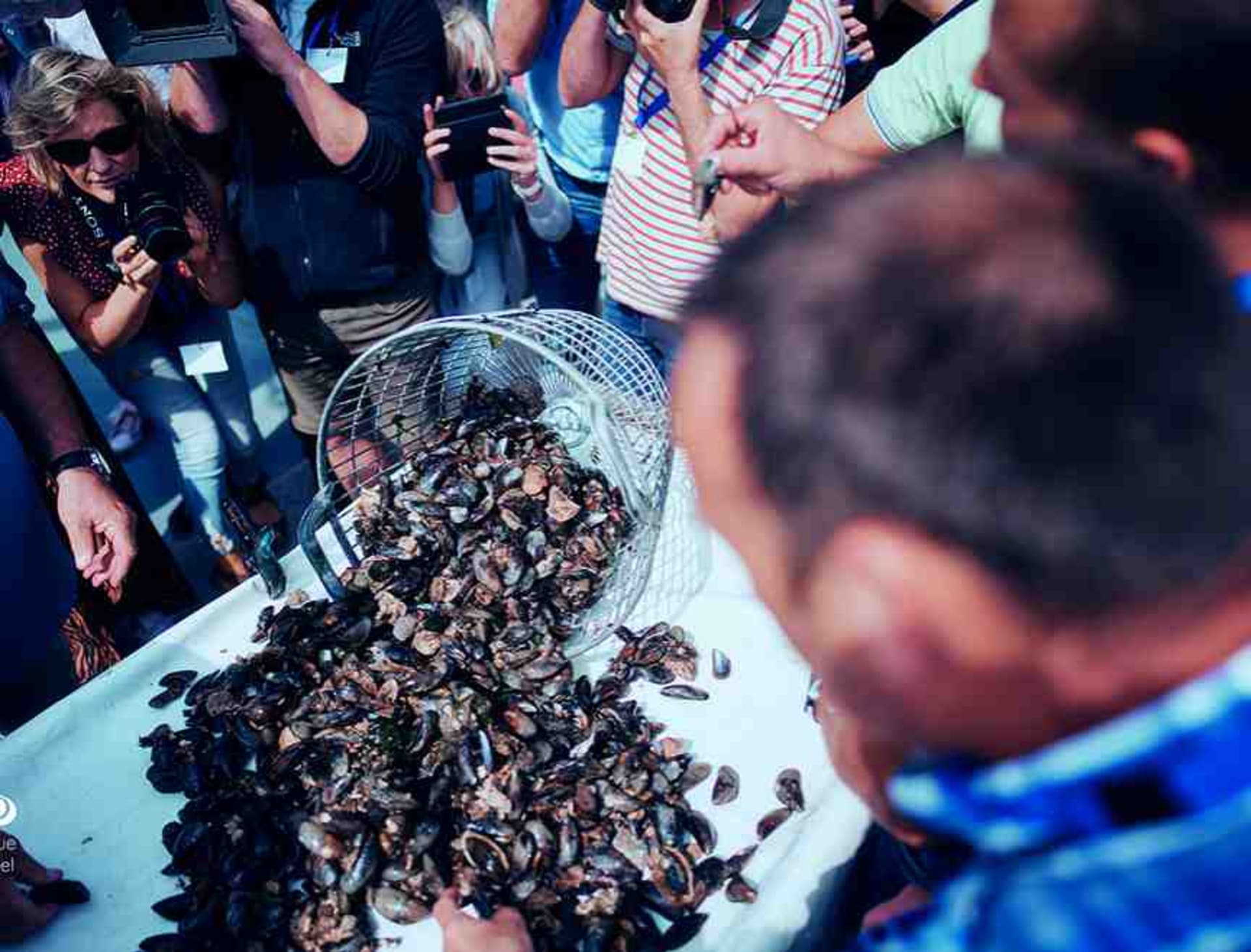 Prague mussel week 4