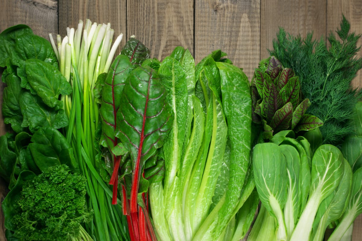 Listová zelenina a bylinky skladujte v ledničce
