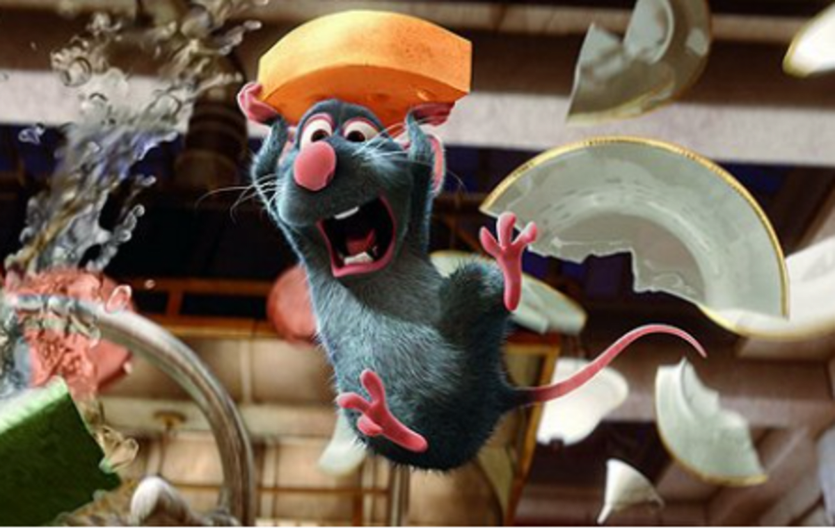 Film Ratatouille proslavil tradiční francouzský pokrm