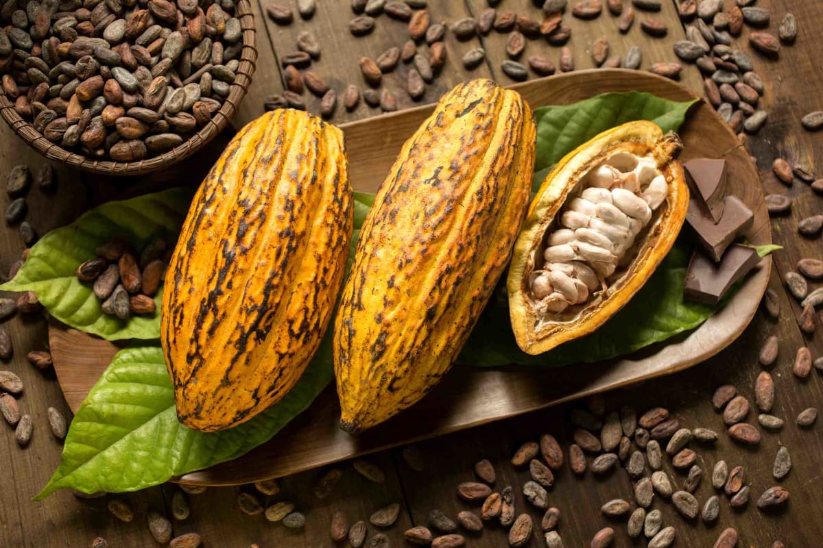 Plody kakaovníku a kakaové boby