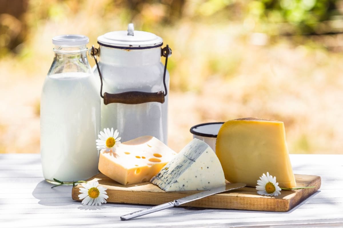 7 nejnovějších trendů v mléčných výrobcích