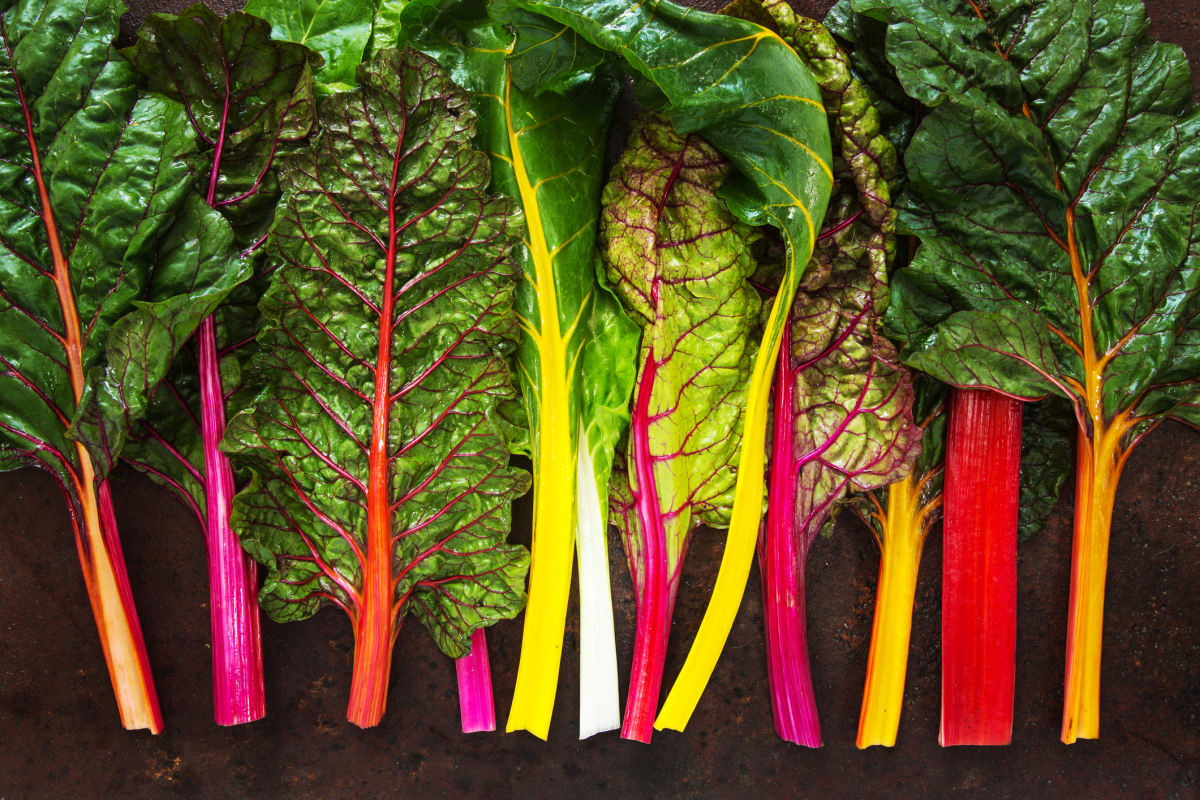 Mangold – ideální listová zelenina do letního jídelníčku září všemi barvami duhy