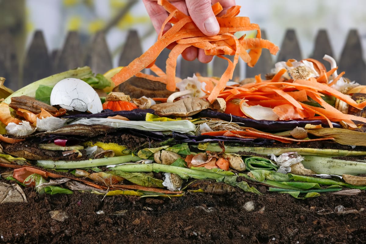 Organický odpad je výborně využitelný a je škoda ho vyhazovat