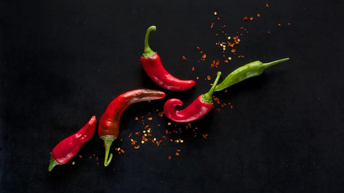 3 tipy na zářijové gastroakce: chillibraní, týden mušlí a festival plný jídla