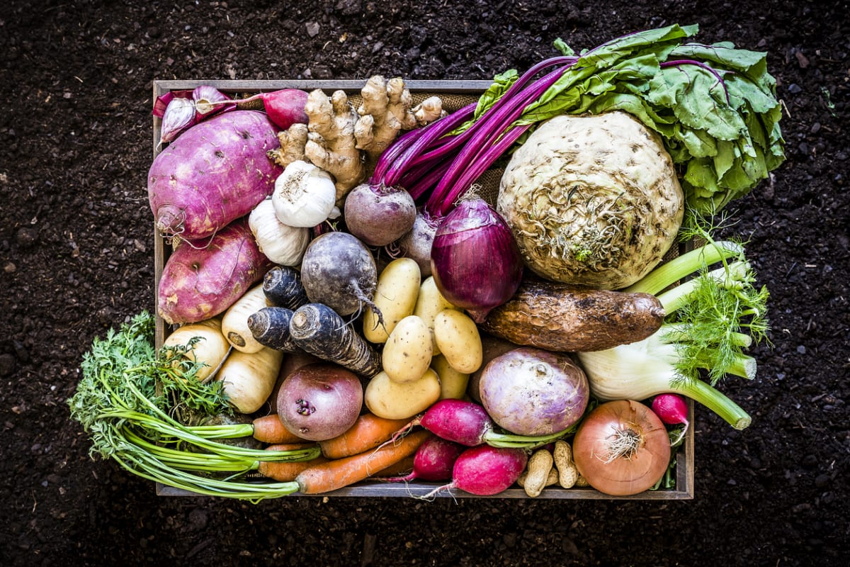 Zelenina tepelným zpracováním může ztratit své prospěšné vitamíny a minerály