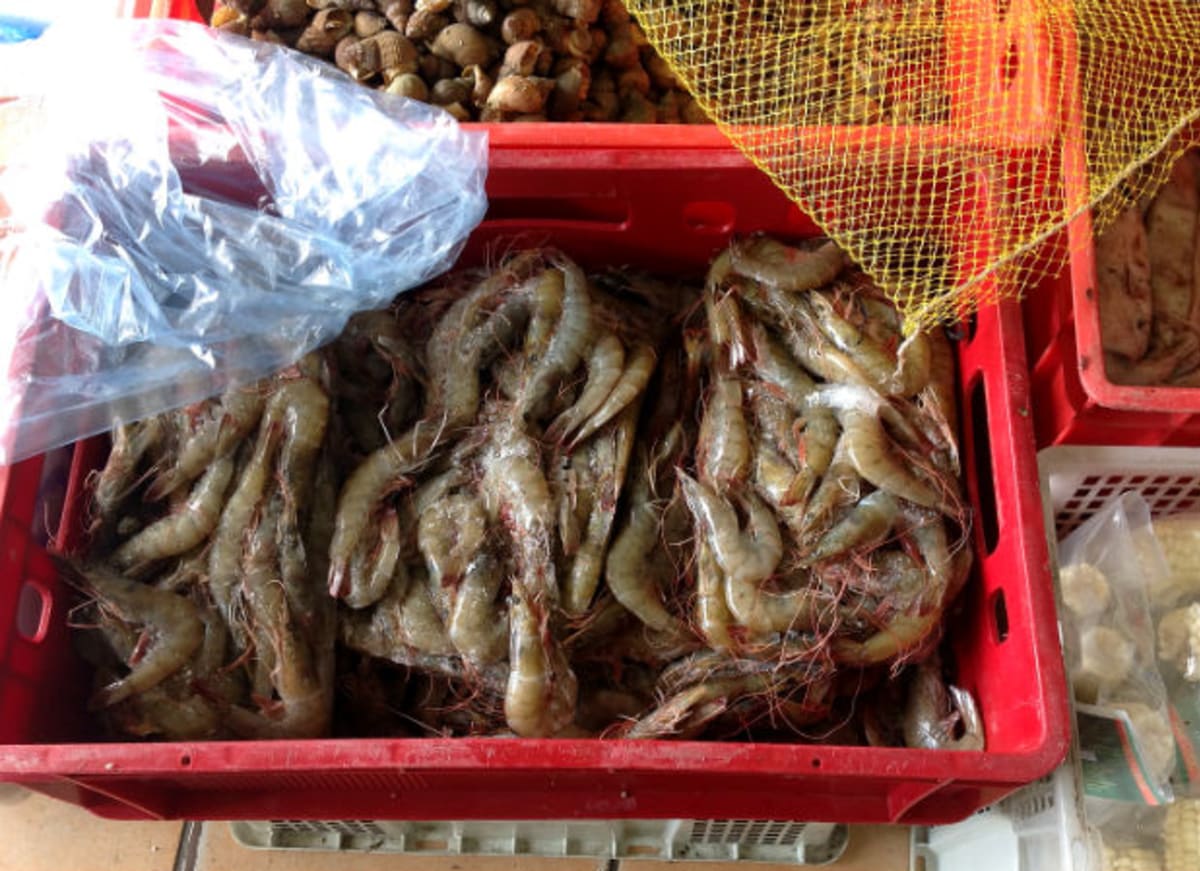 Krevety všech velikostí pořídíte v Sapě za třetinové ceny