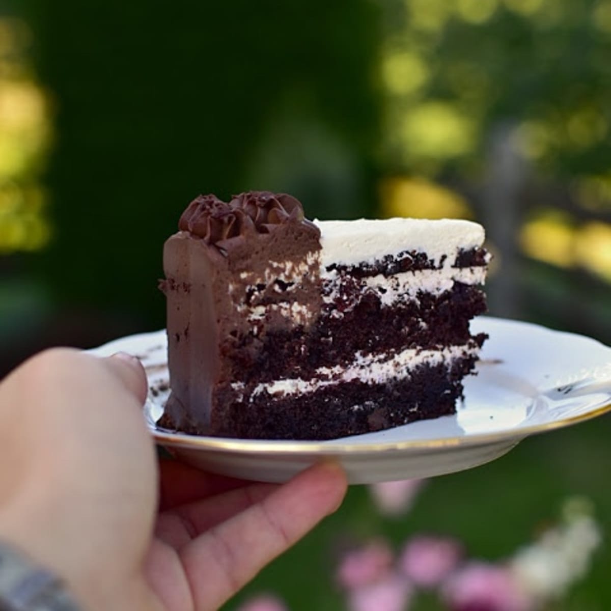 Kakaový dort s krémem