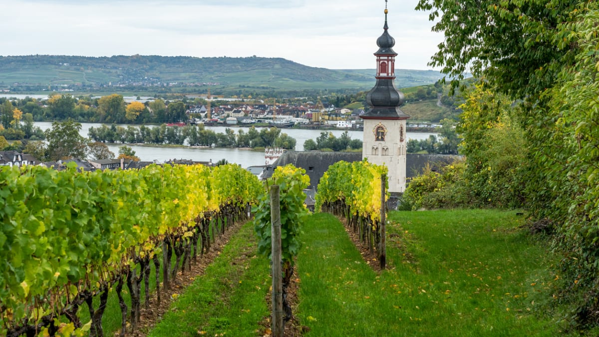 Německé víno a krásné výhledy do krajiny - co víc si přát?